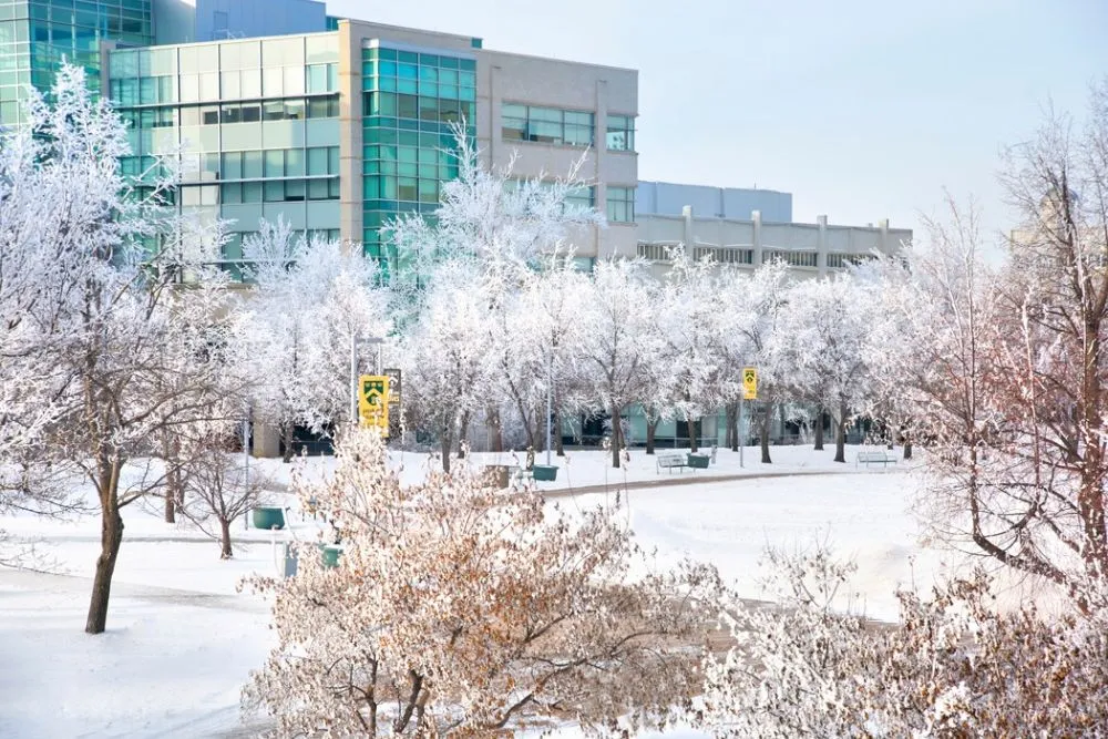 University Regina