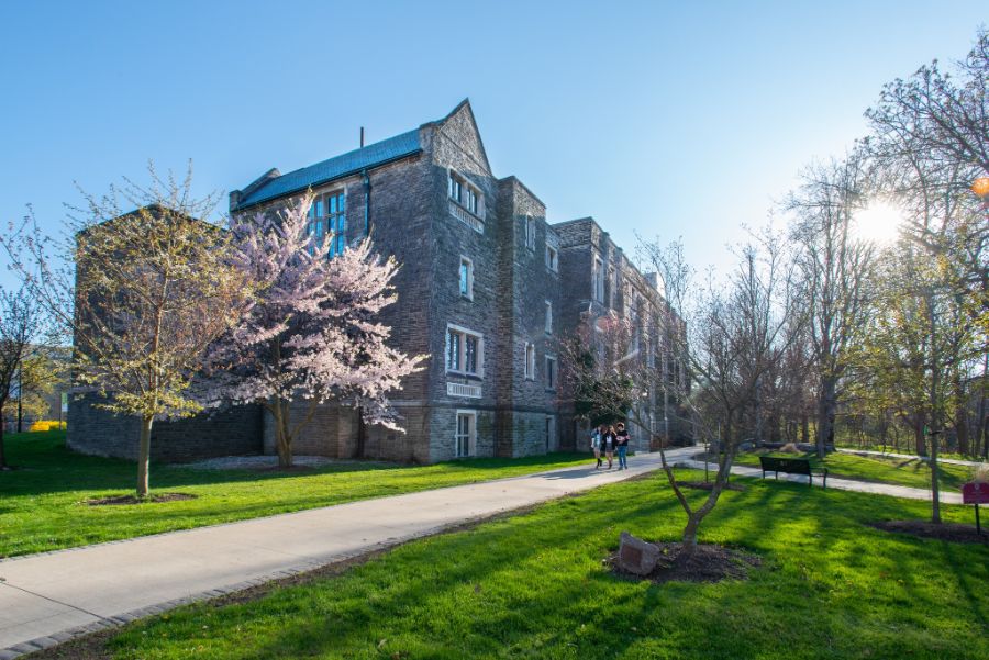 Mcmaster University