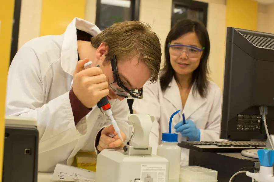 Research Phd Study Abroad